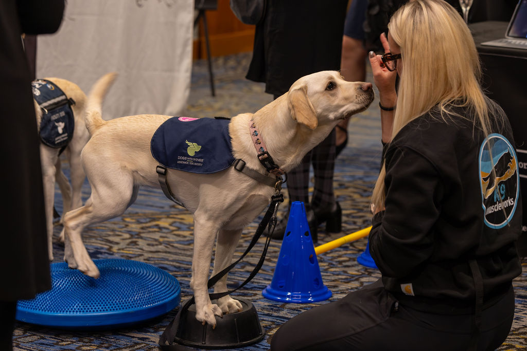 Gala 2025 service dog doing balance training demo