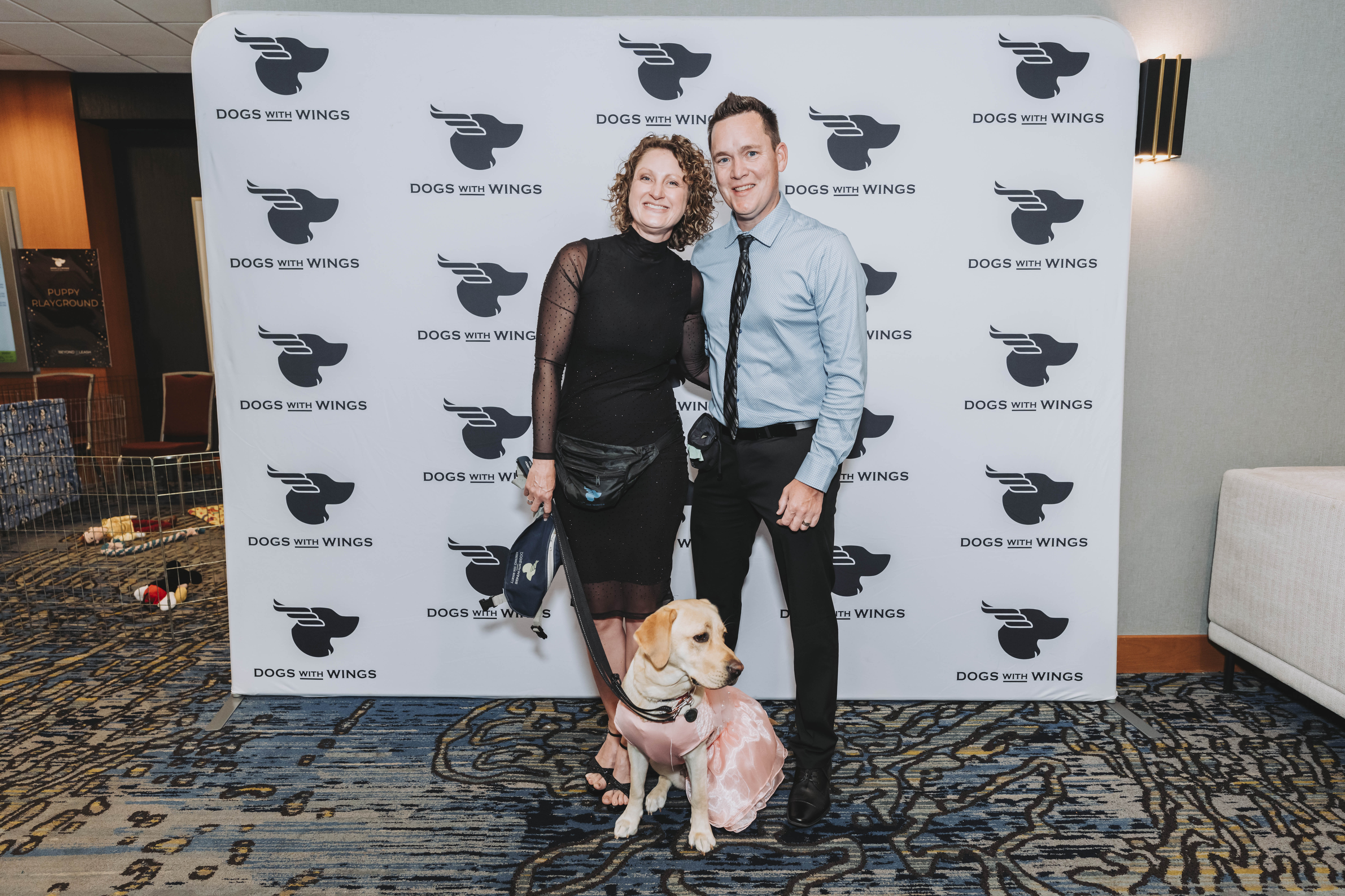 A couple posing at the photo wall with a blonde Labrador in a pink harness