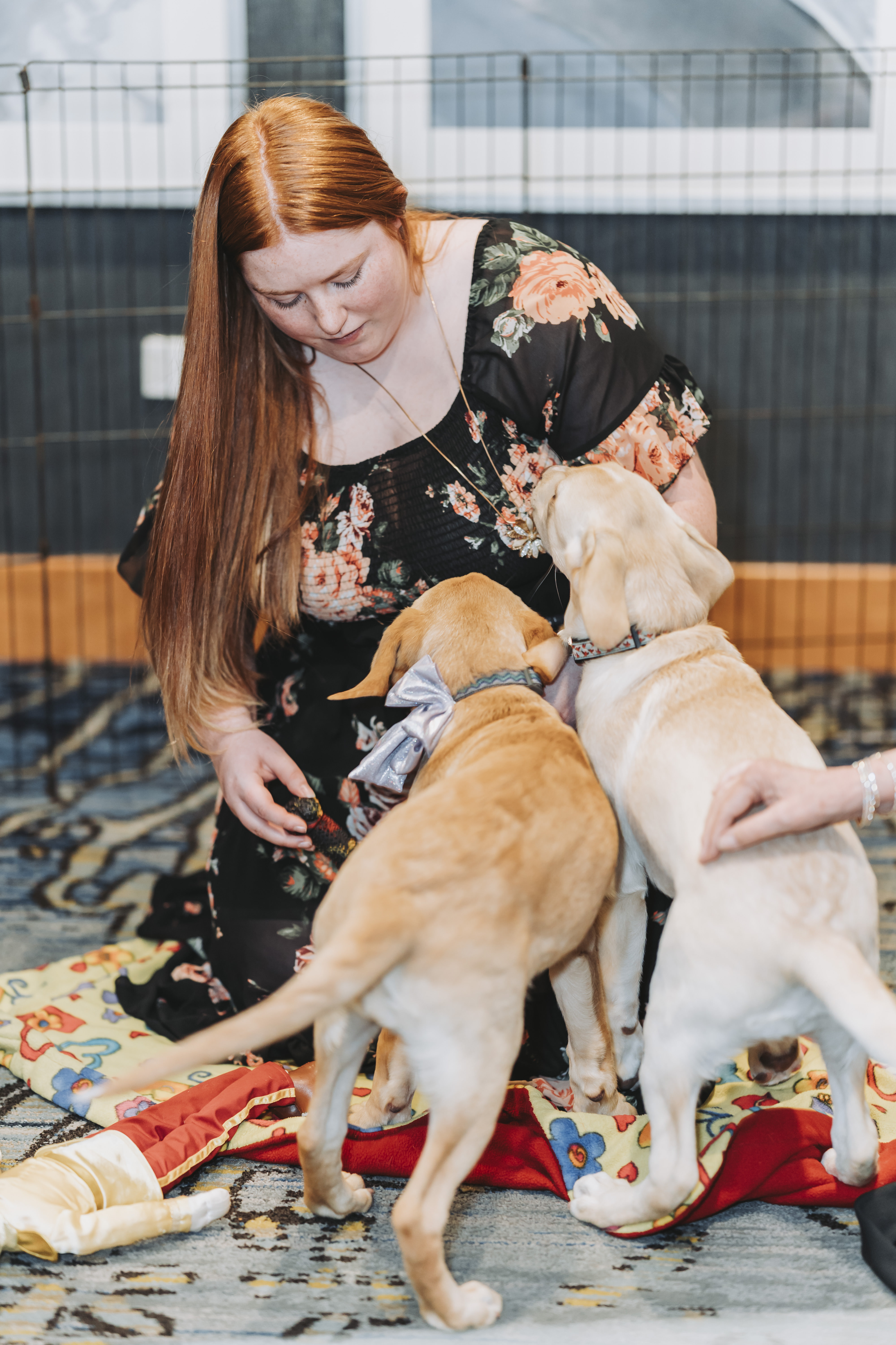 A guest kneeling with two golden puppies on a blanket in the puppy playground