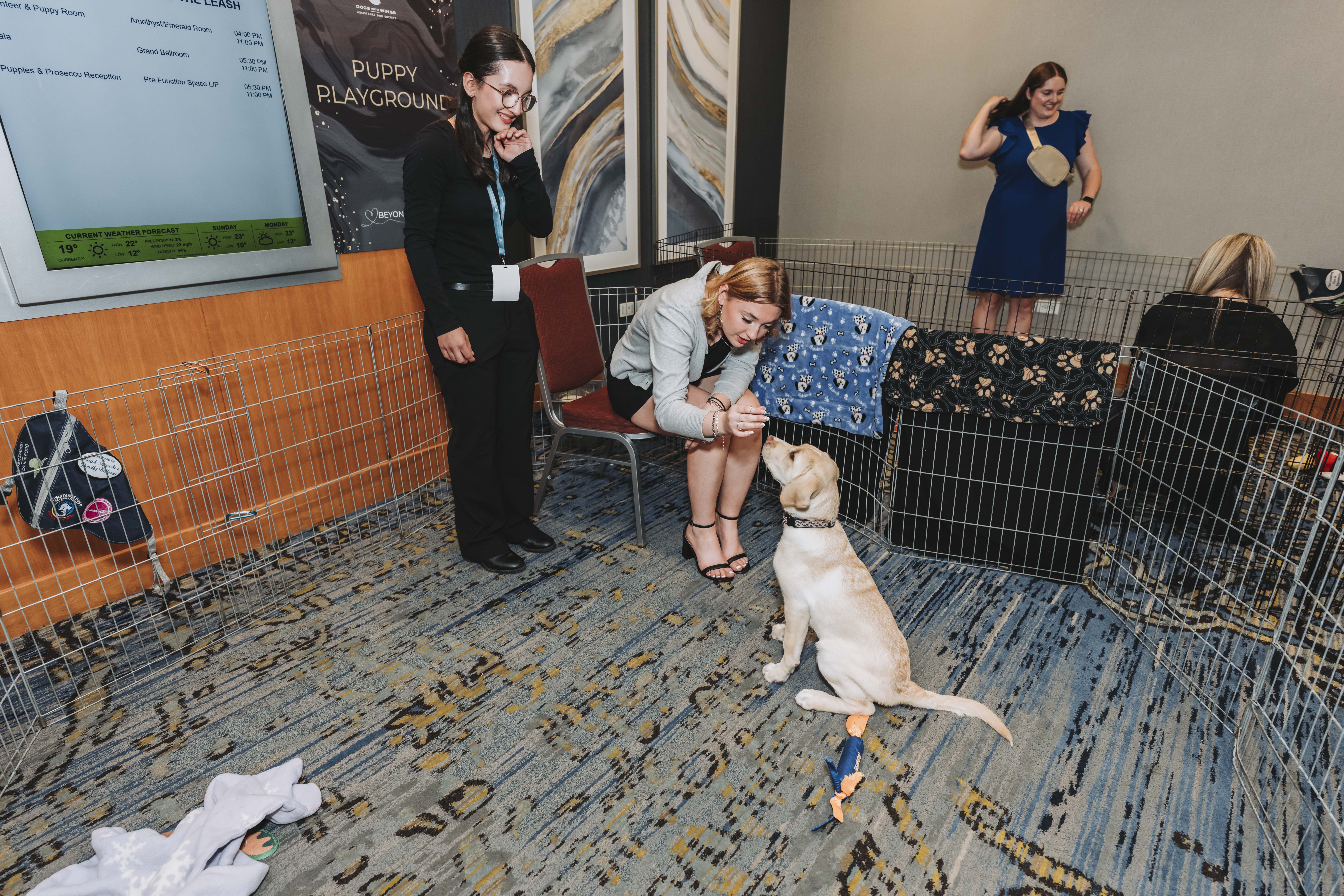 Guests visiting with a puppy in the playpen at the gala