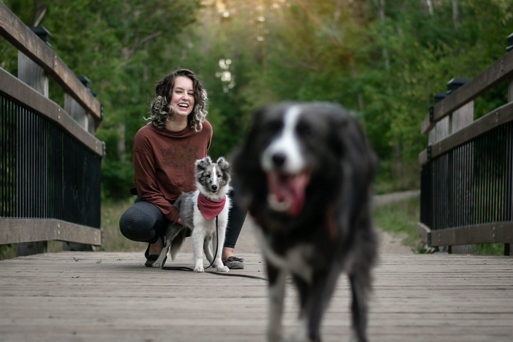 Sadie Maciocha, Service Dog Trainer