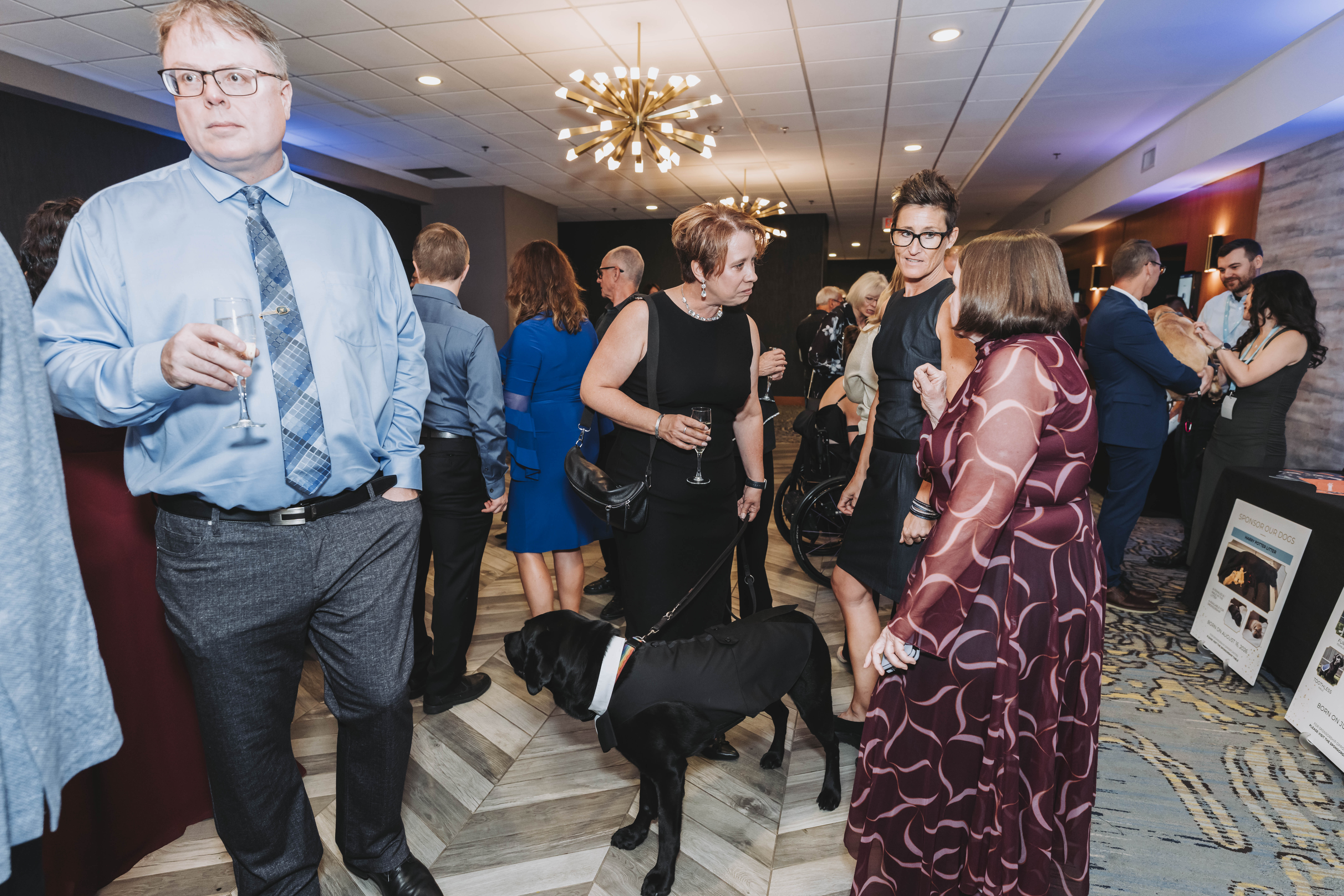Guests socializing at the reception with a black Labrador