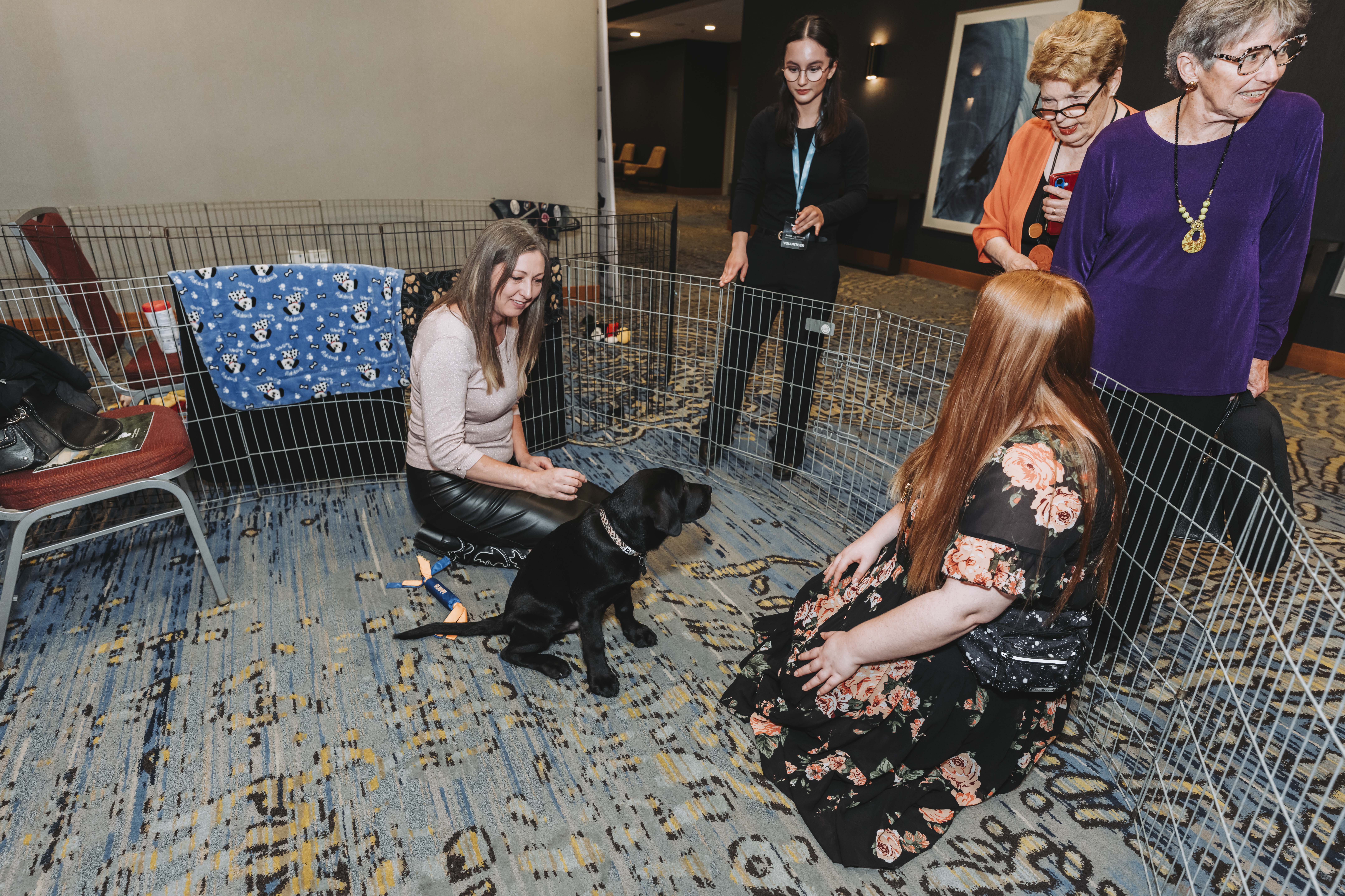 Guests kneeling with a black puppy inside the puppy playground
