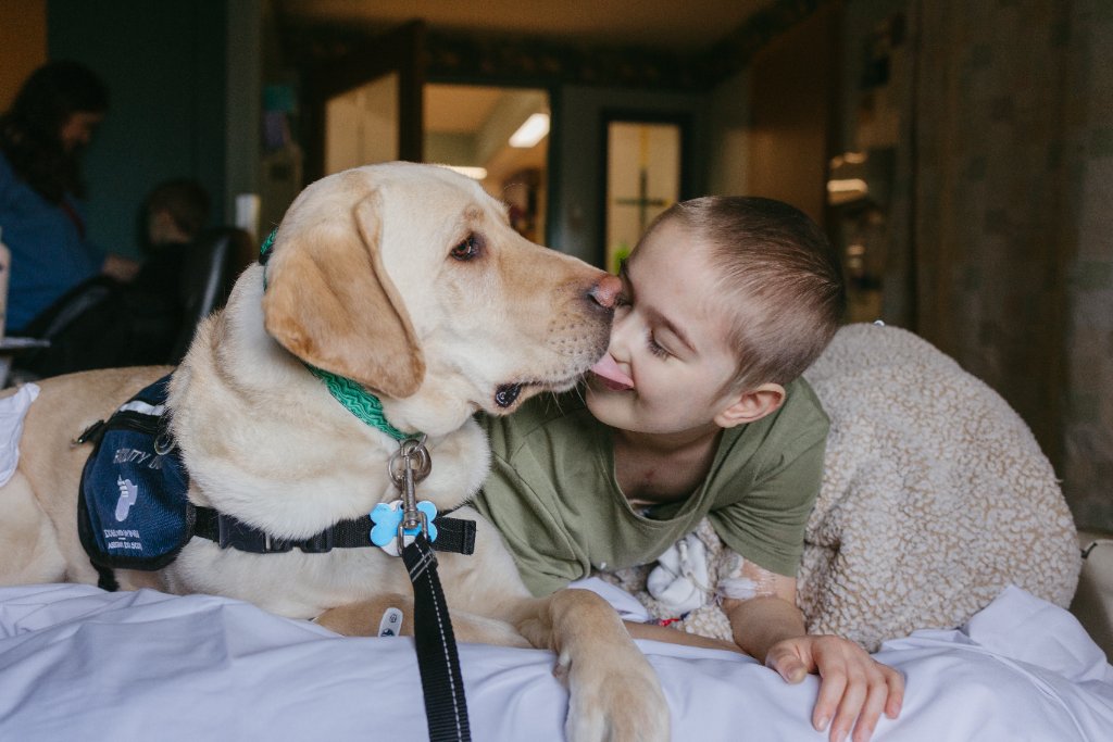 DWW Pumbaa, a yellow Labrador facility service dog, sharing a tender moment with a young patient at the Stollery Children's Hospital