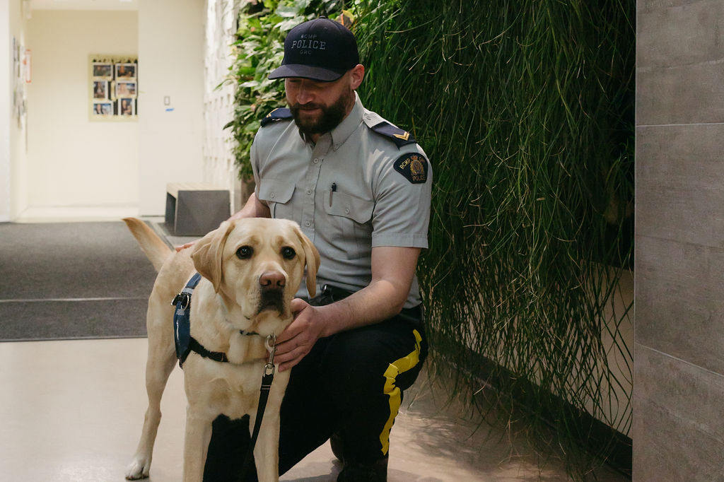 An RCMP officer kneels beside a yellow Labrador wearing a Dogs With Wings facility dog vest in a building corridor