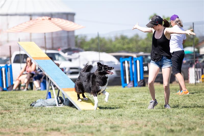 Taylor Bertram, Puppy Program Coordinator