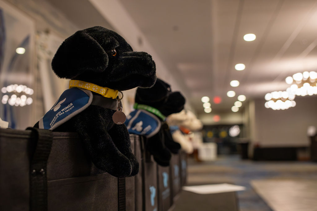 Gala 2025 DWW plush dogs in bags at registration