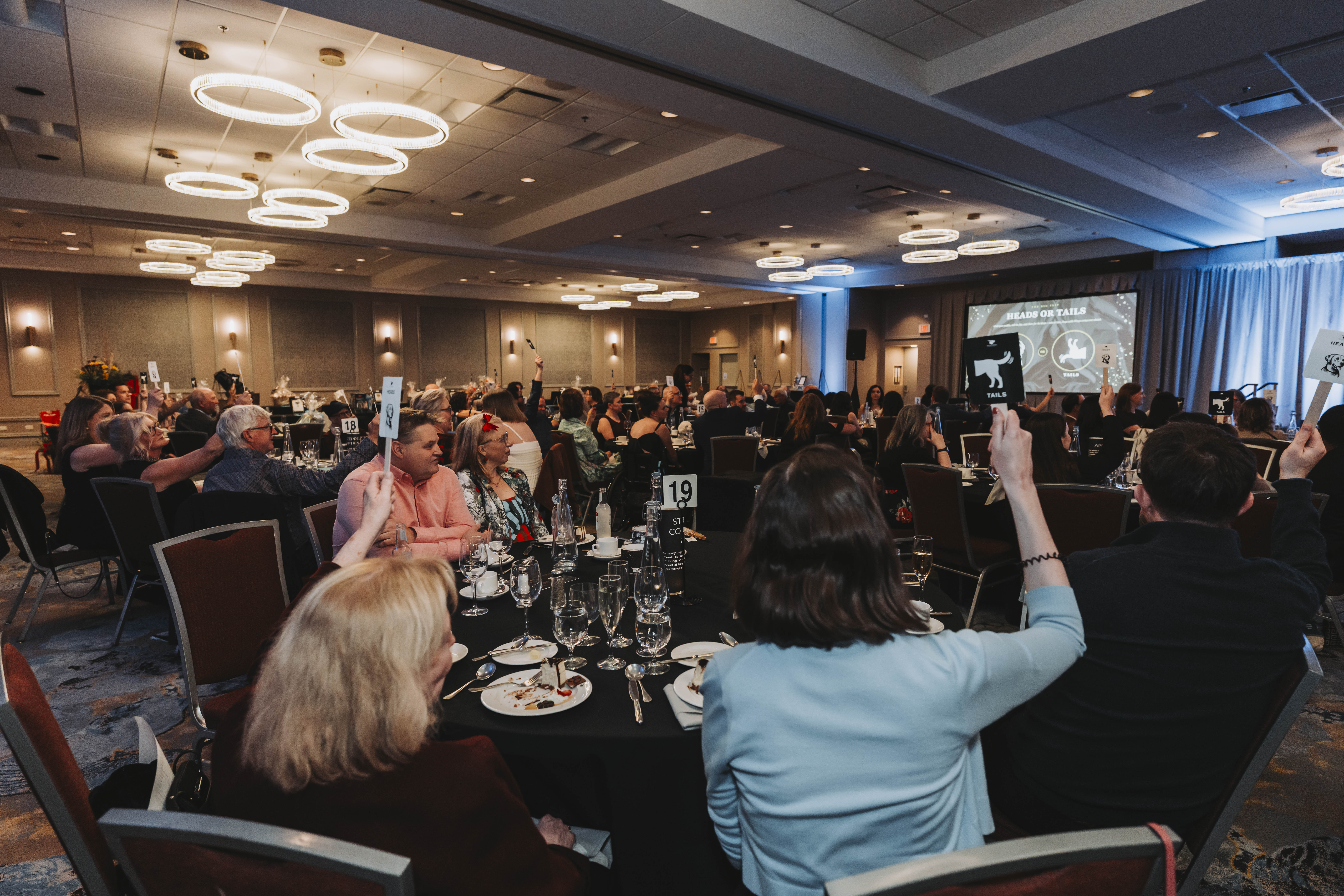 Guests raising their Tails paddles during the heads or tails game