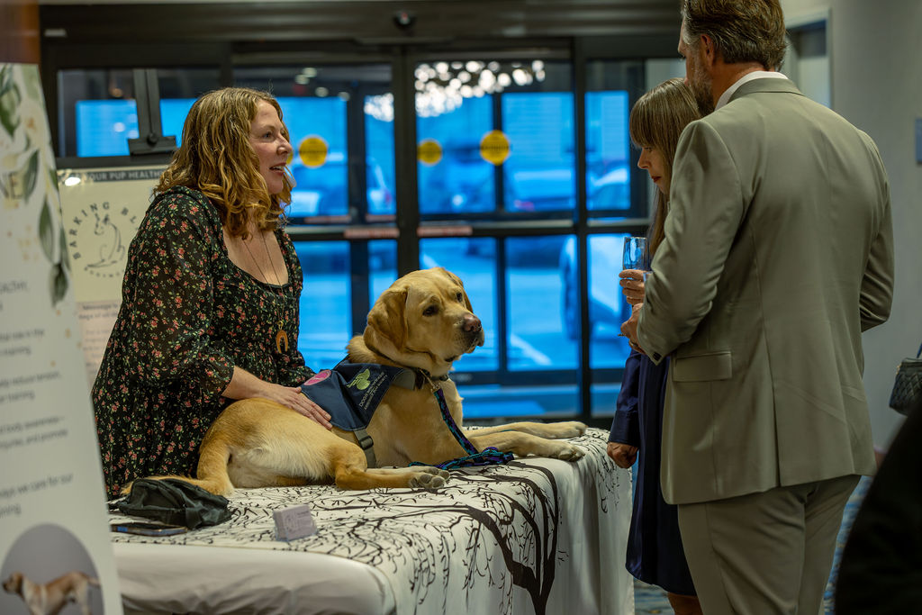 Gala 2025 yellow Lab service dog at vendor table