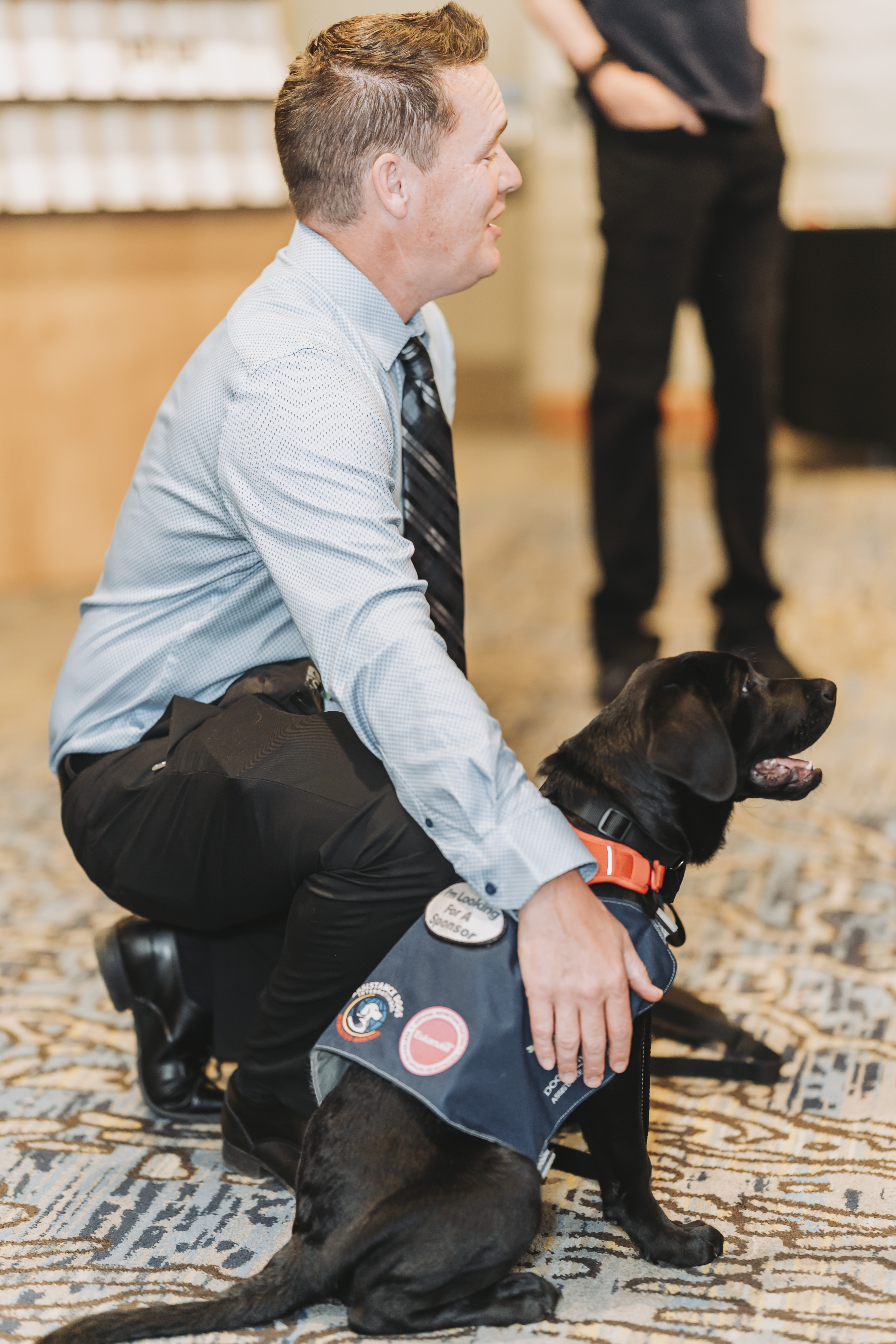 A guest kneeling to visit with a black service dog in a Sponsor Our Dogs vest