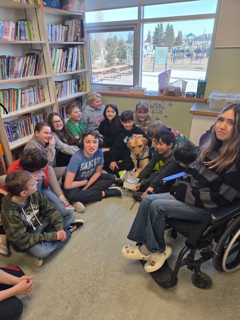 Students at Whitecourt Central School gathered around DWW Flash, a yellow Labrador Accredited Facility Dog, celebrating his 4th birthday in the school library
