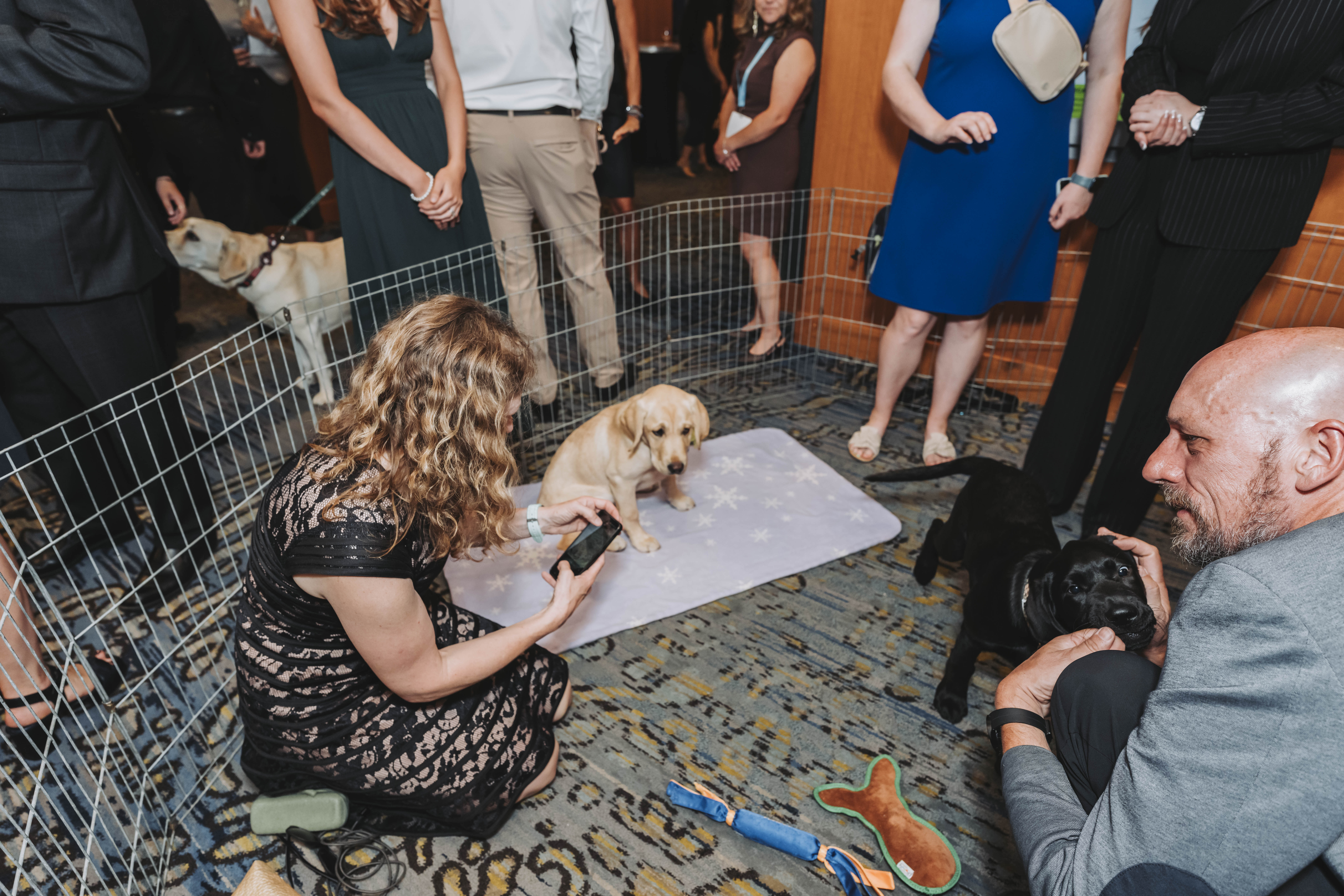 Guests meeting the puppies in the puppy playground