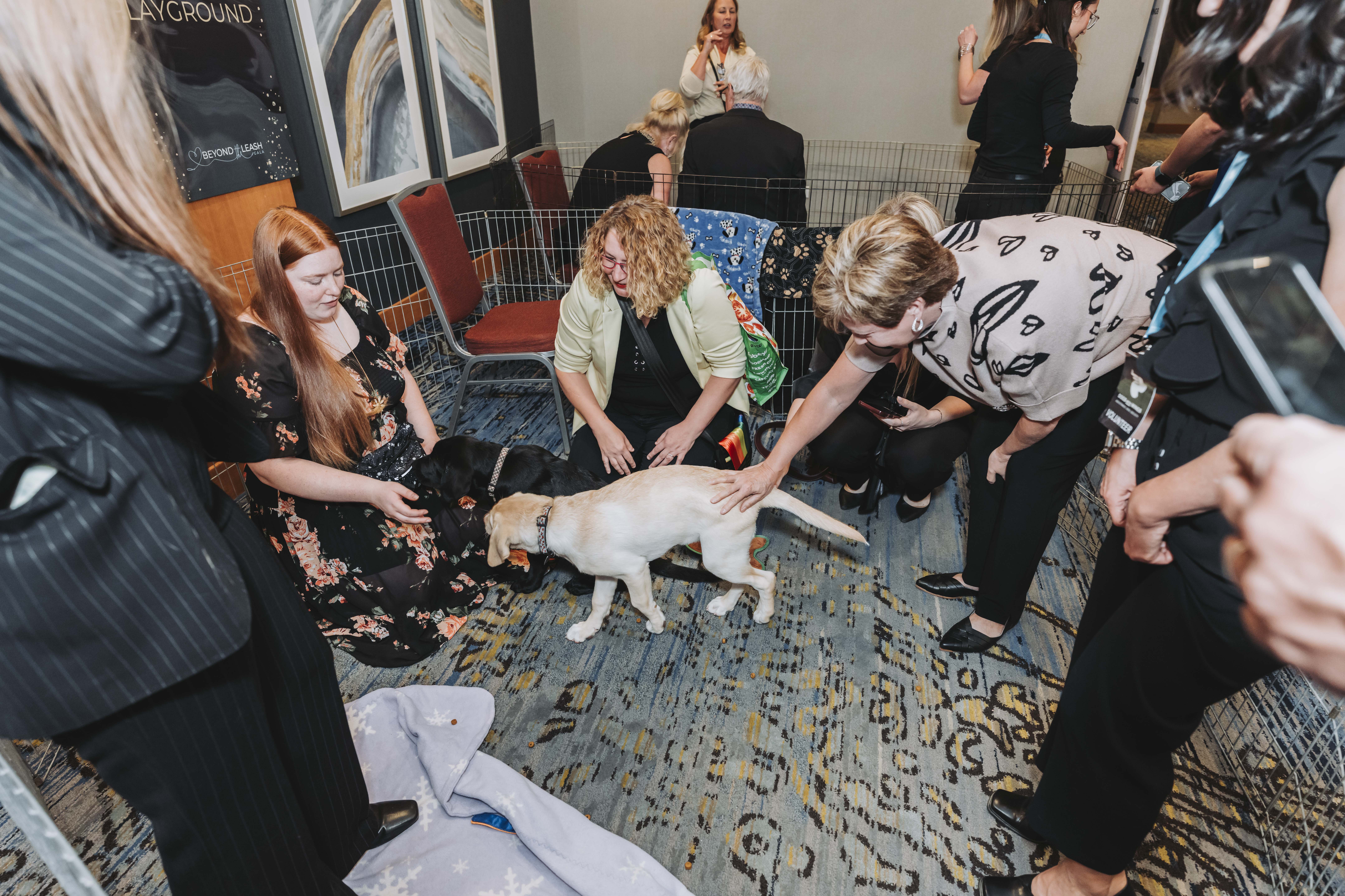 Guests petting the puppies during the reception