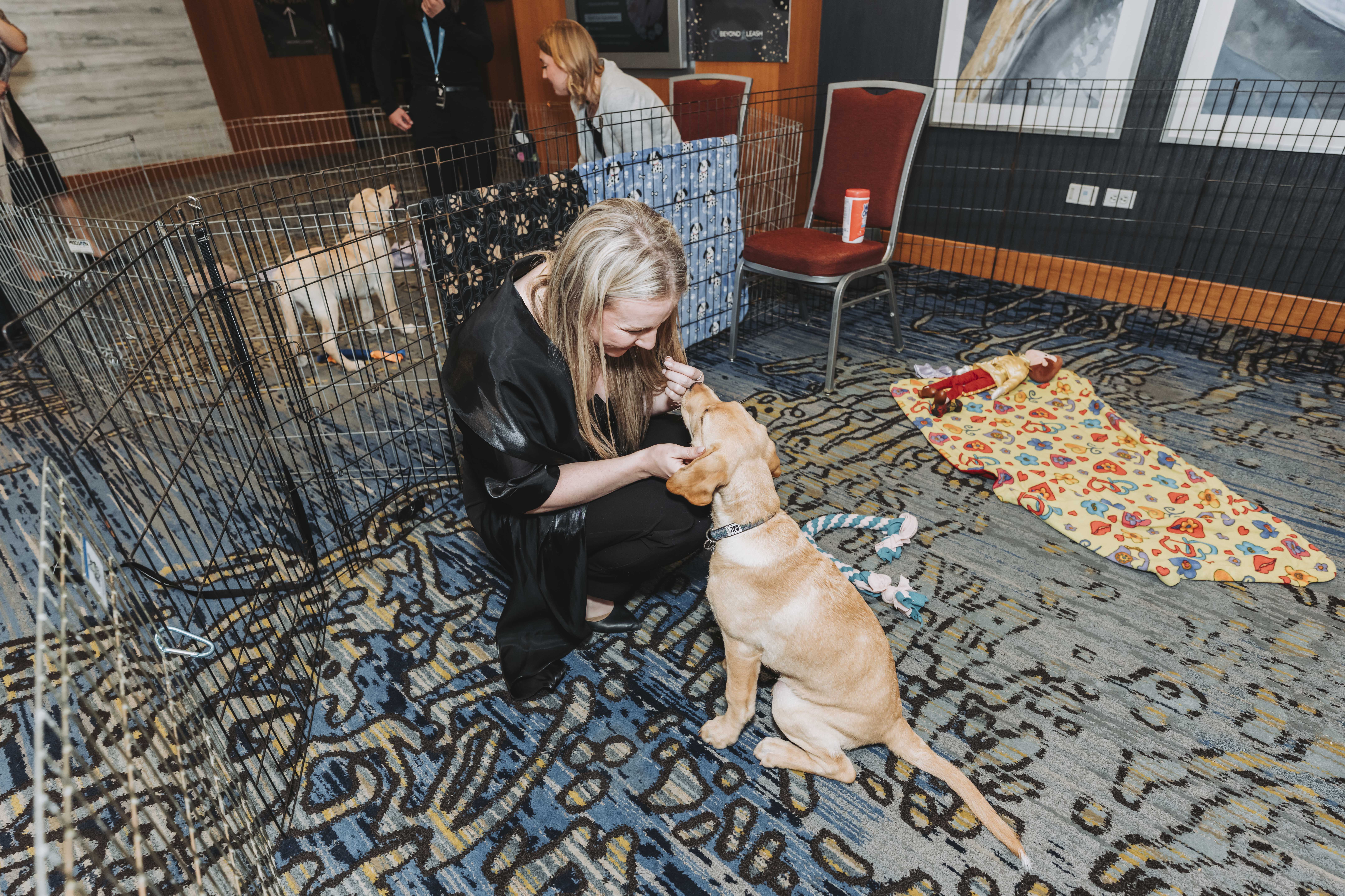 A guest crouching to greet a cream puppy in the playground