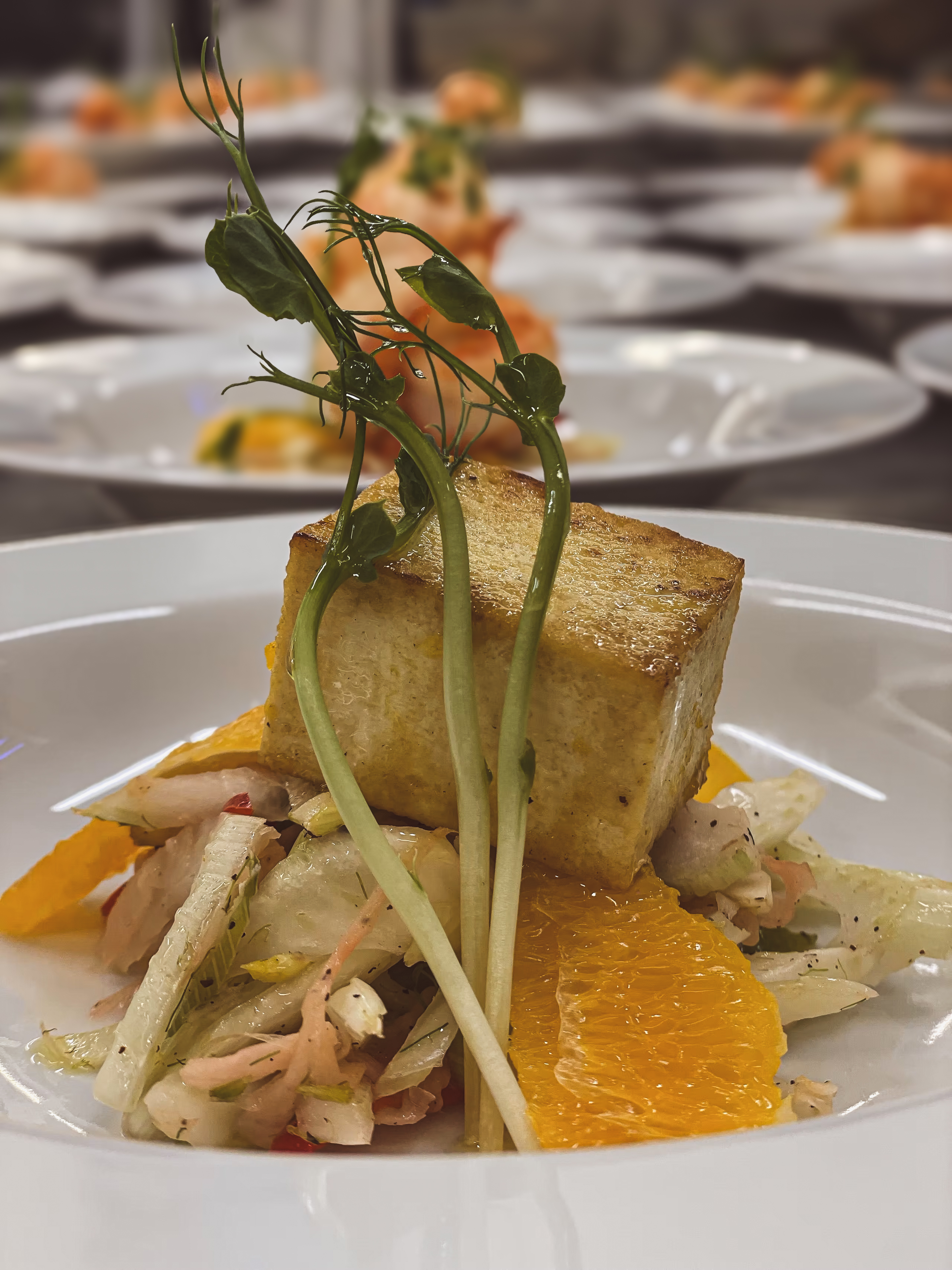 Vegetariánský Catering. Zelený geniální gastro zážitek