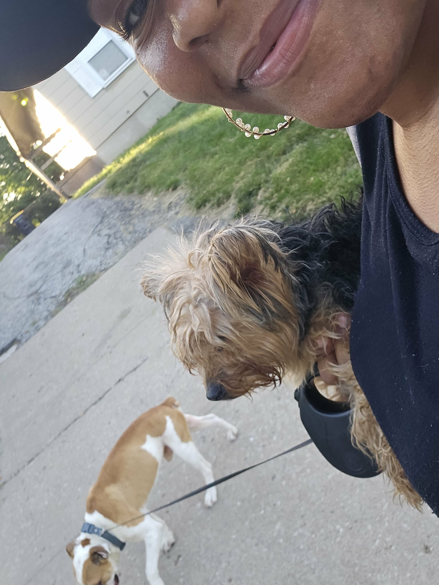 A caregiver holding a small dog on their shoulder while a second dog walks nearby