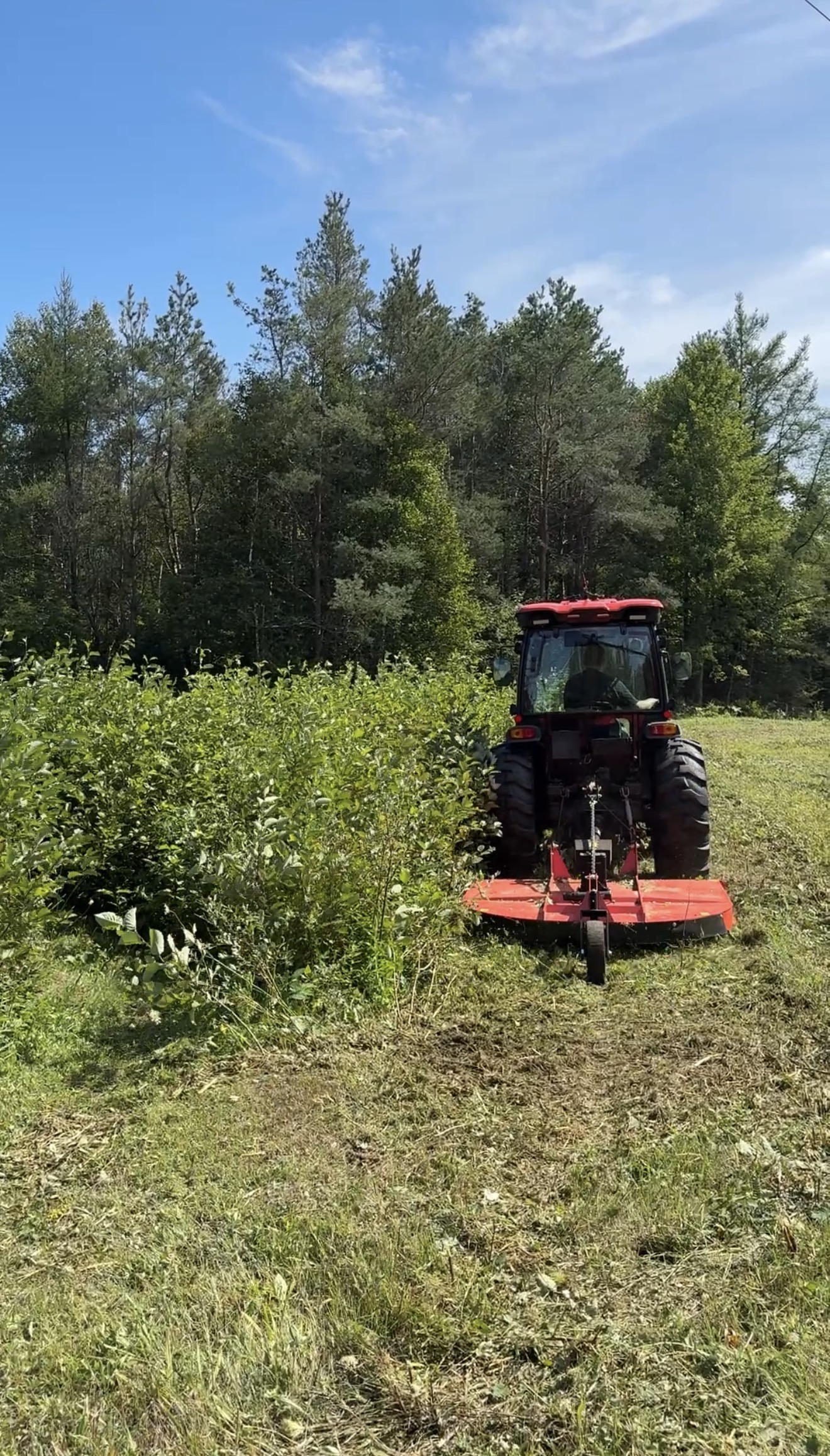 Bush hogging and land clearing