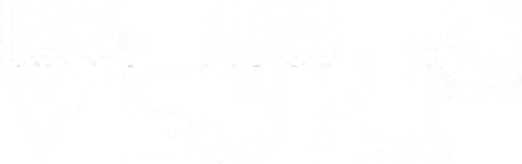 Visual99
