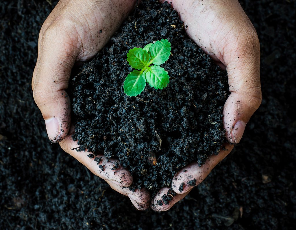 Resource Stewardship Program