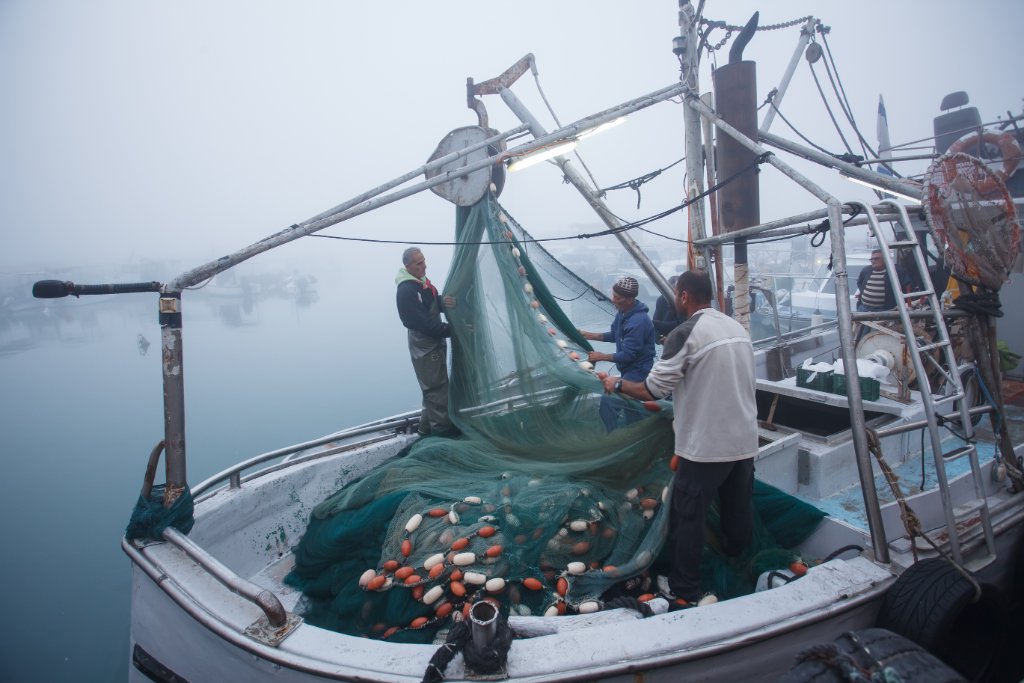 Full Catch