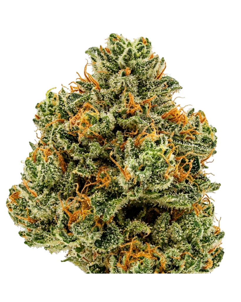 Neville's Haze