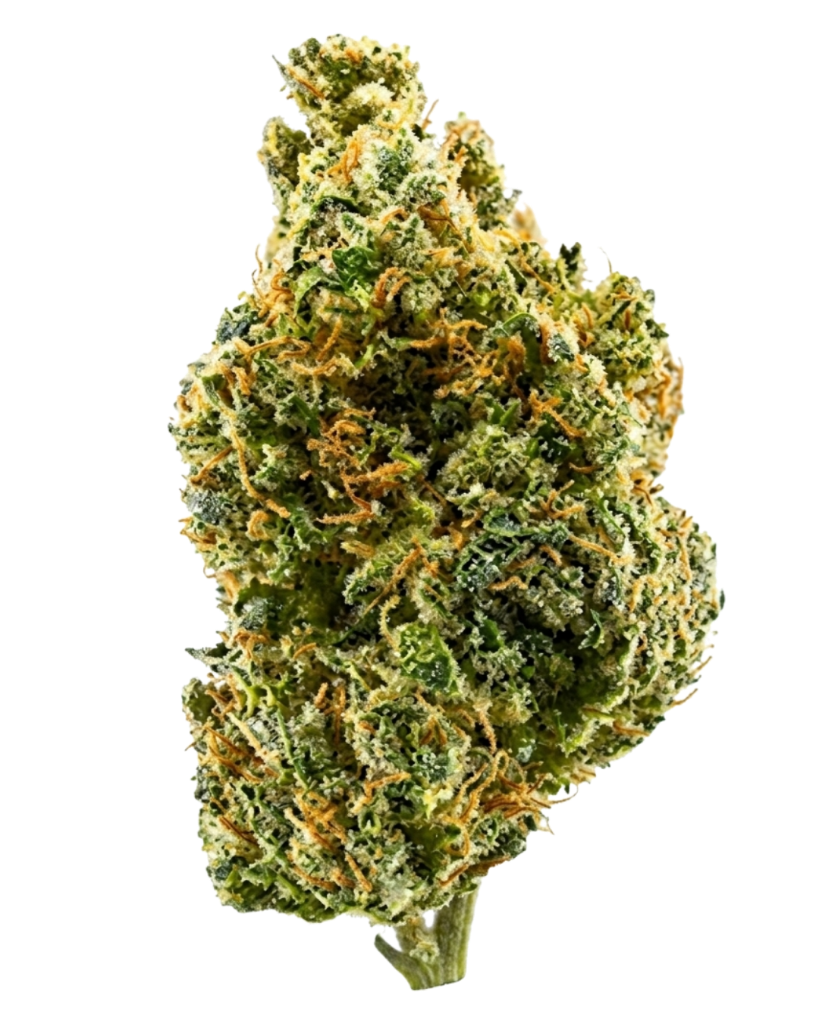 7 Star Tangie