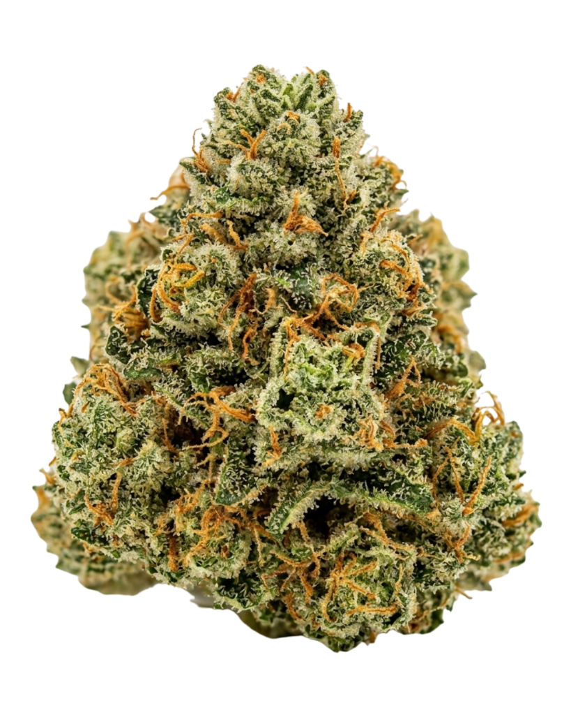 Gorilla Cookies