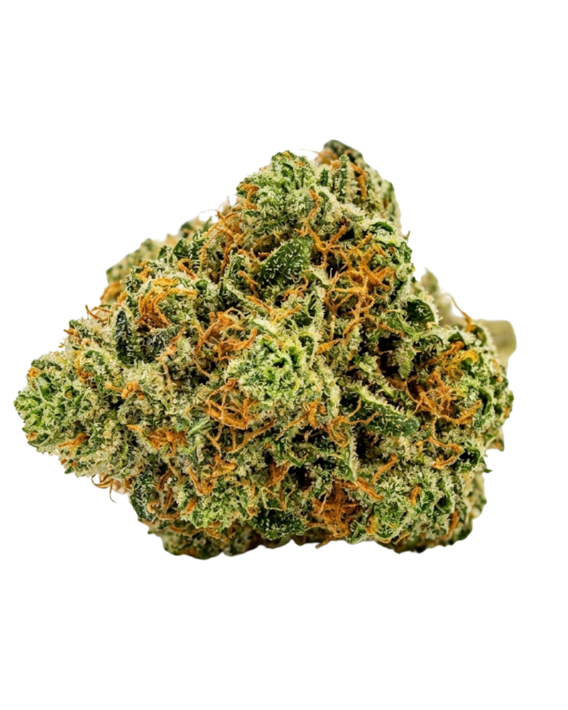Bandoo OG