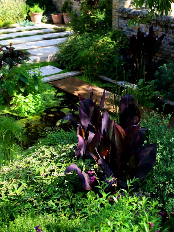 Garden portfolio 2