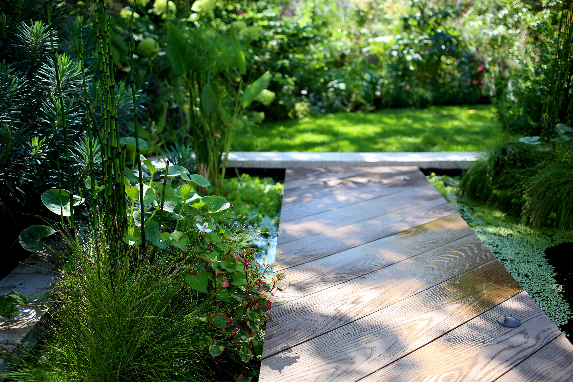 Garden portfolio 1