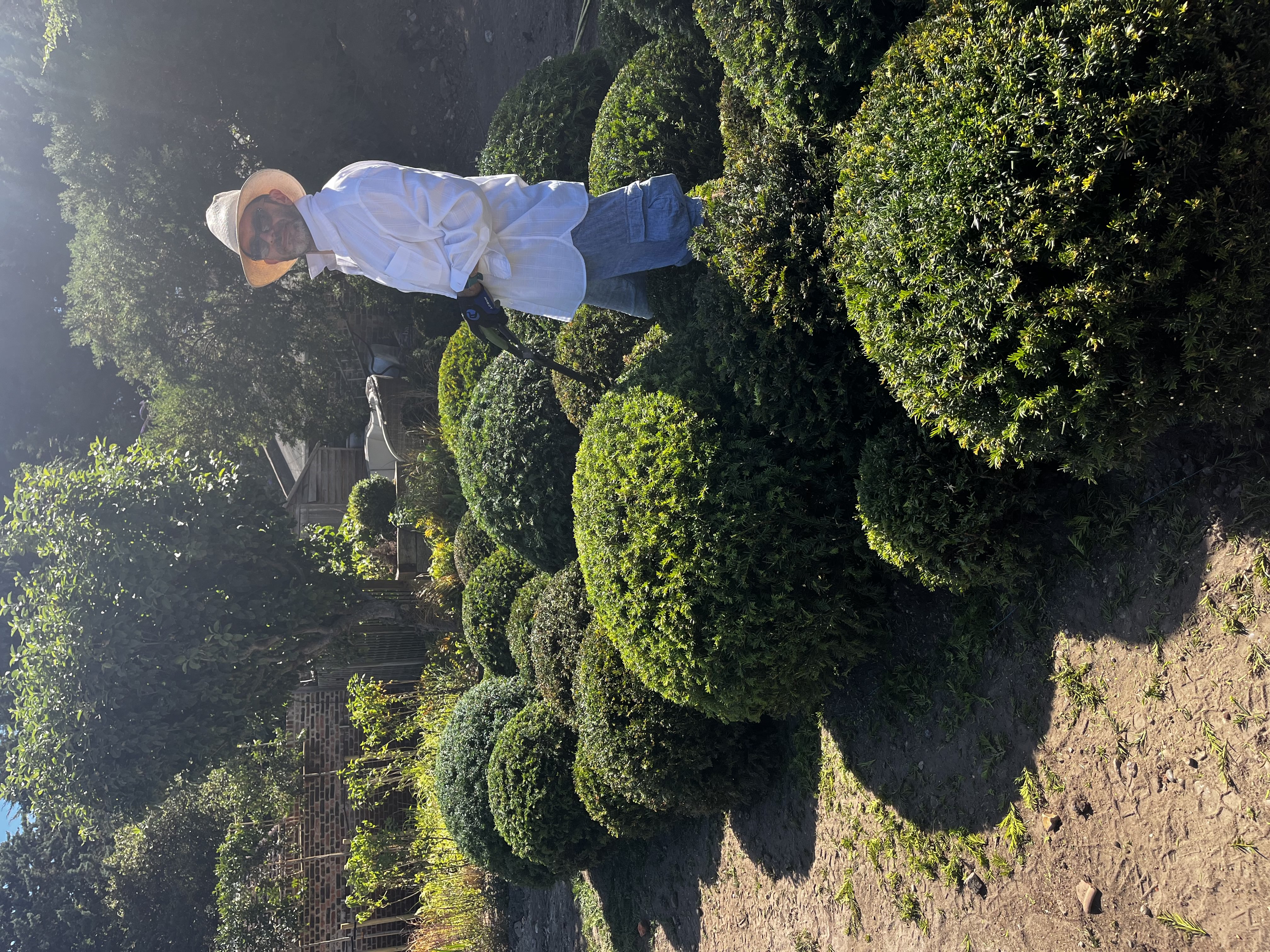 Garden portfolio 7