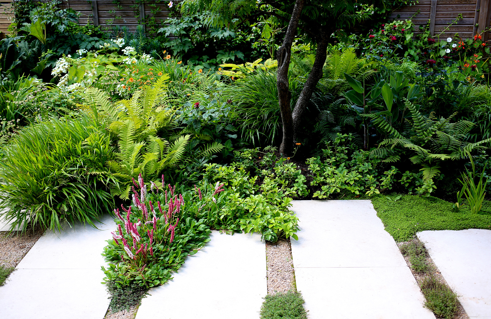 Garden portfolio 13