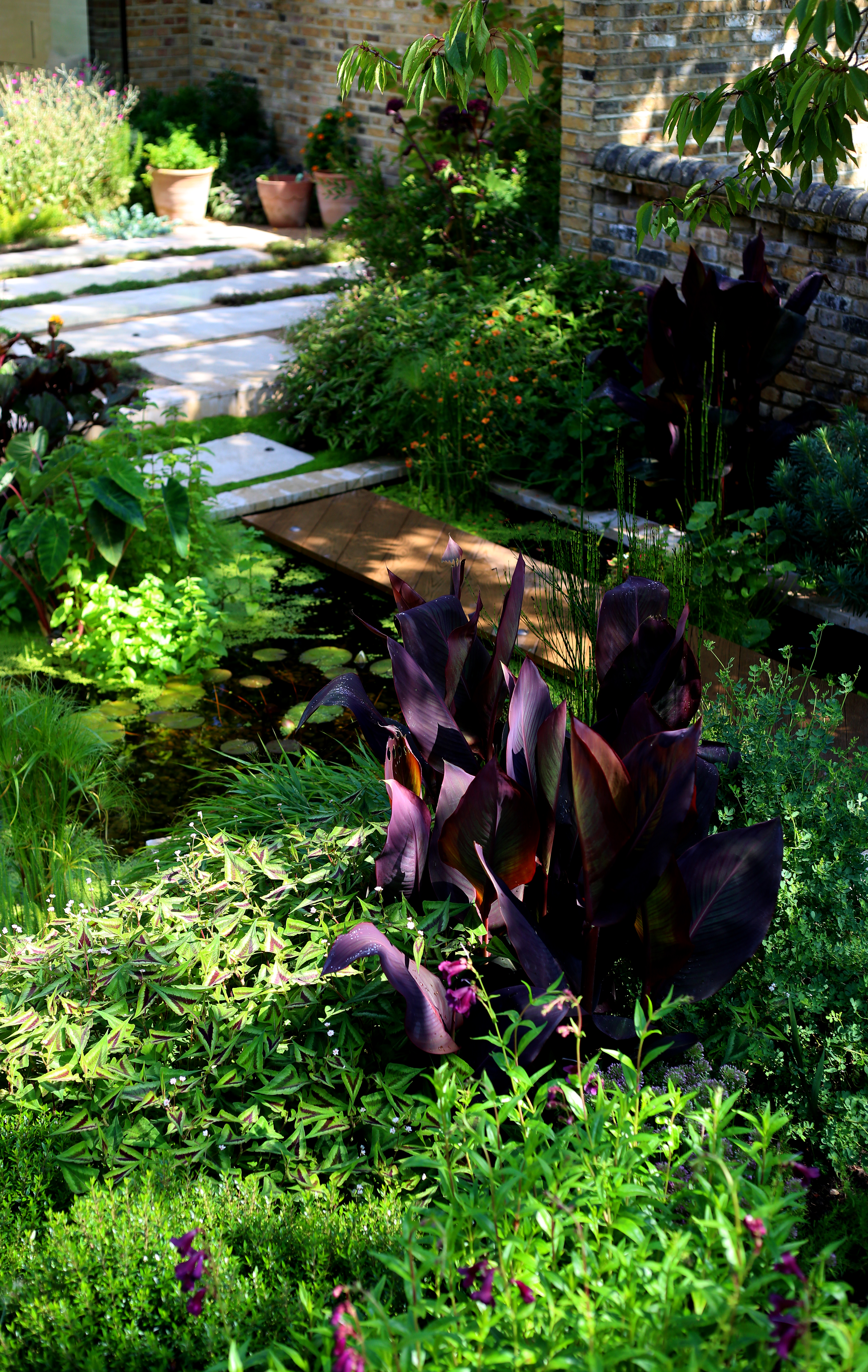 Garden portfolio 12