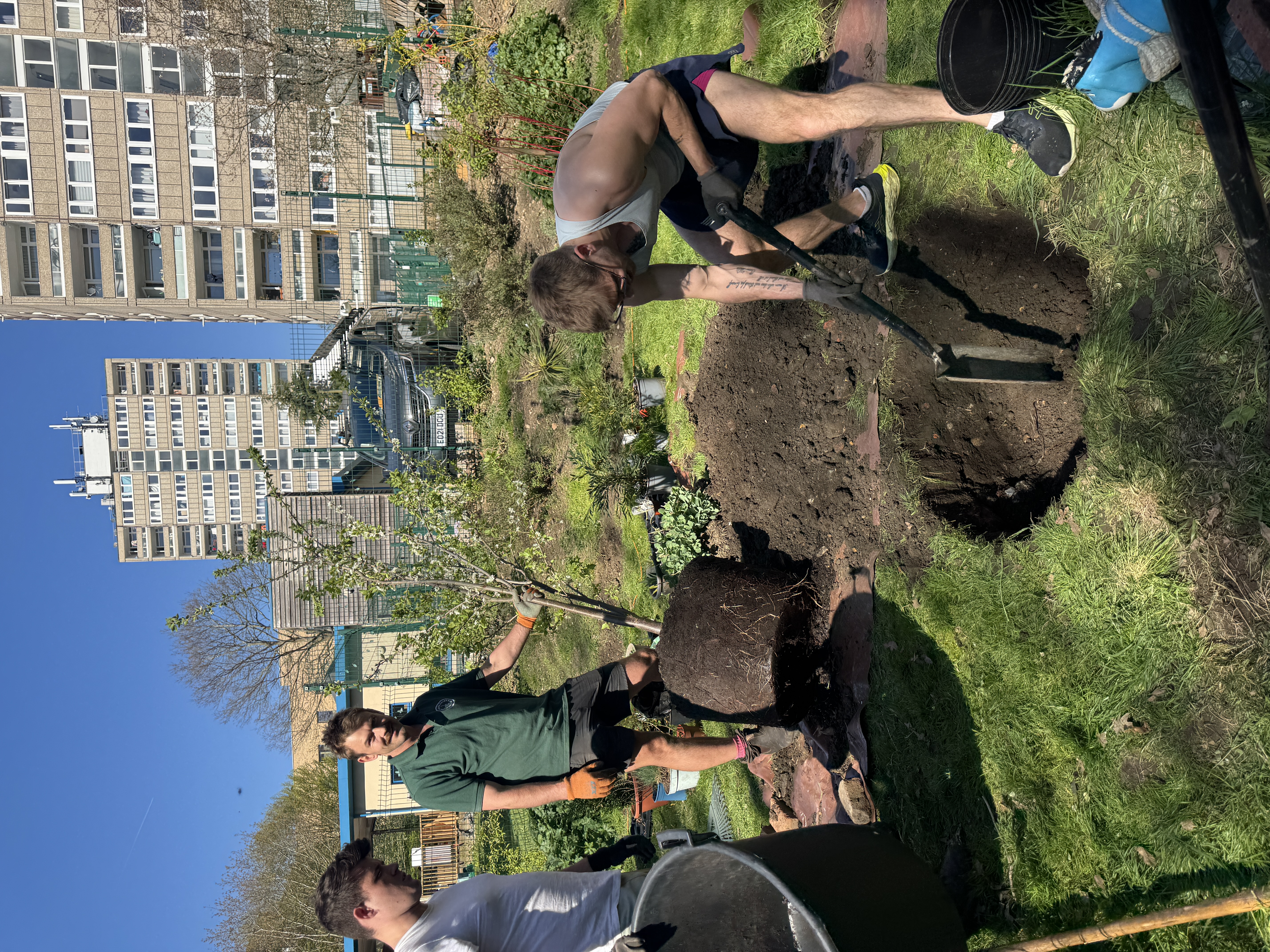 Community image 1