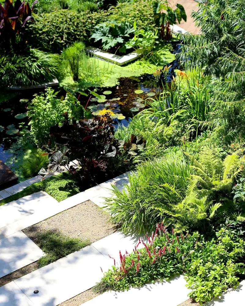 Growing and Maintaining Perfection service