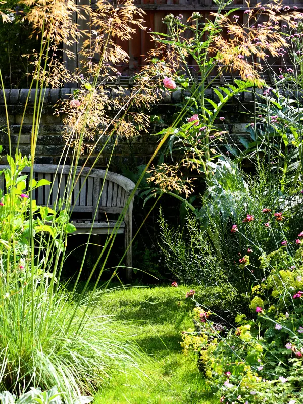 Garden portfolio 8