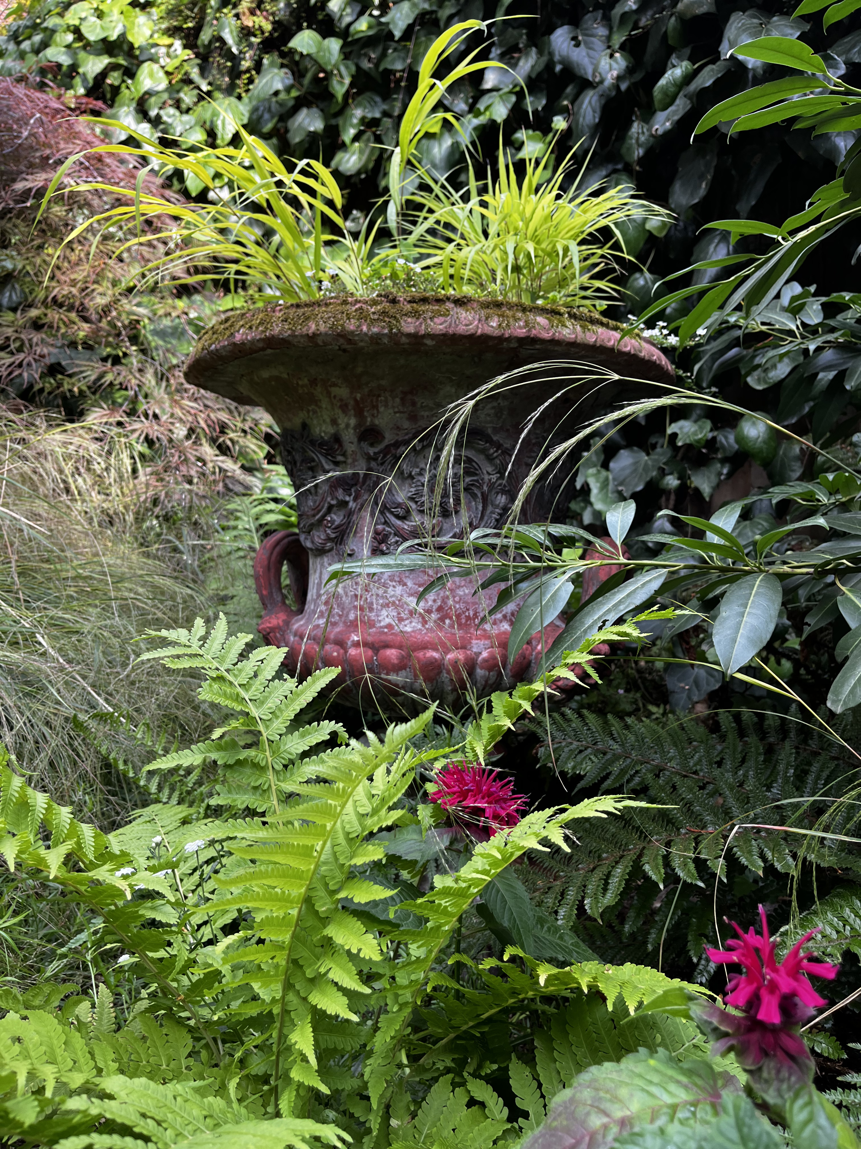 Garden portfolio 10