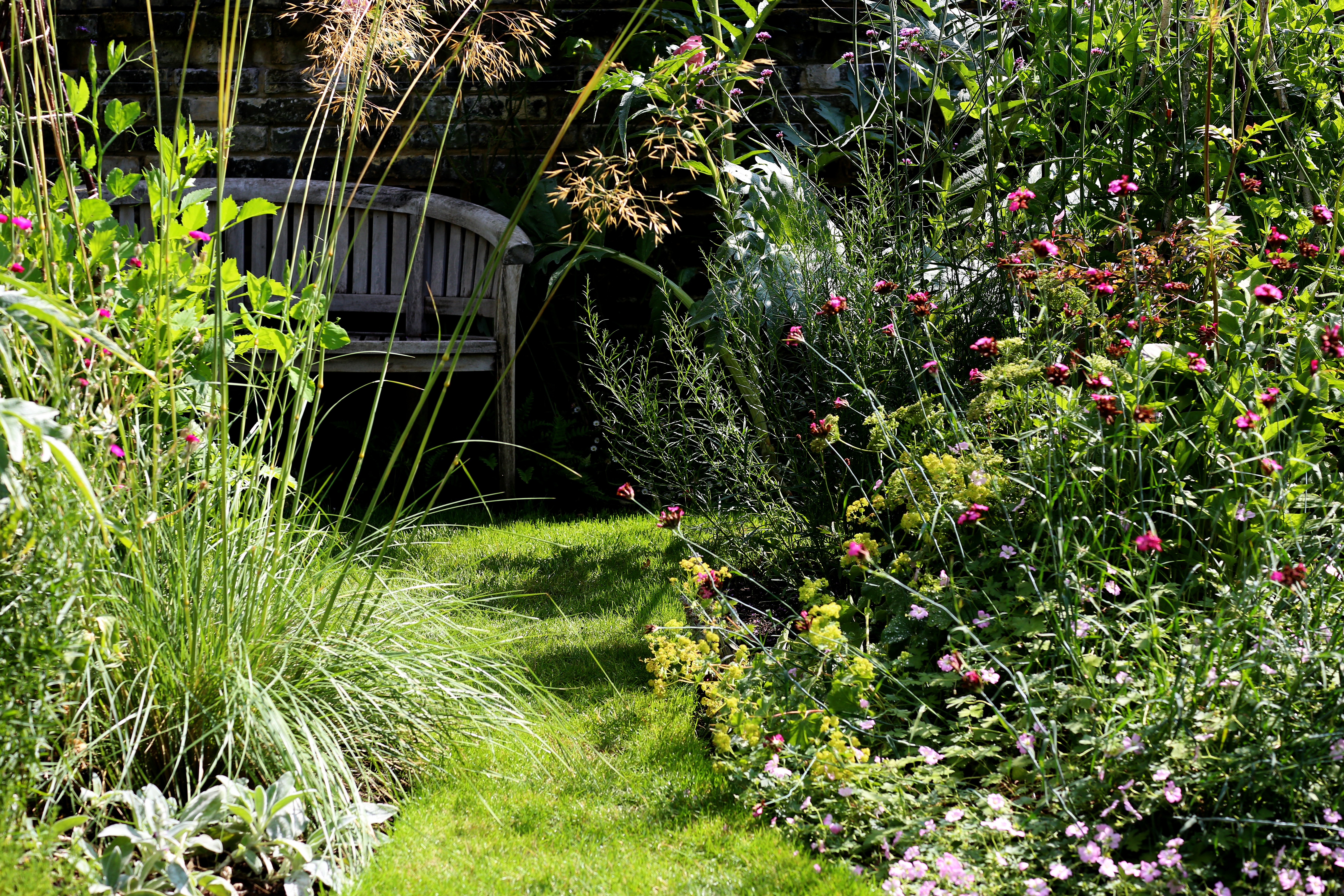 Garden portfolio 6