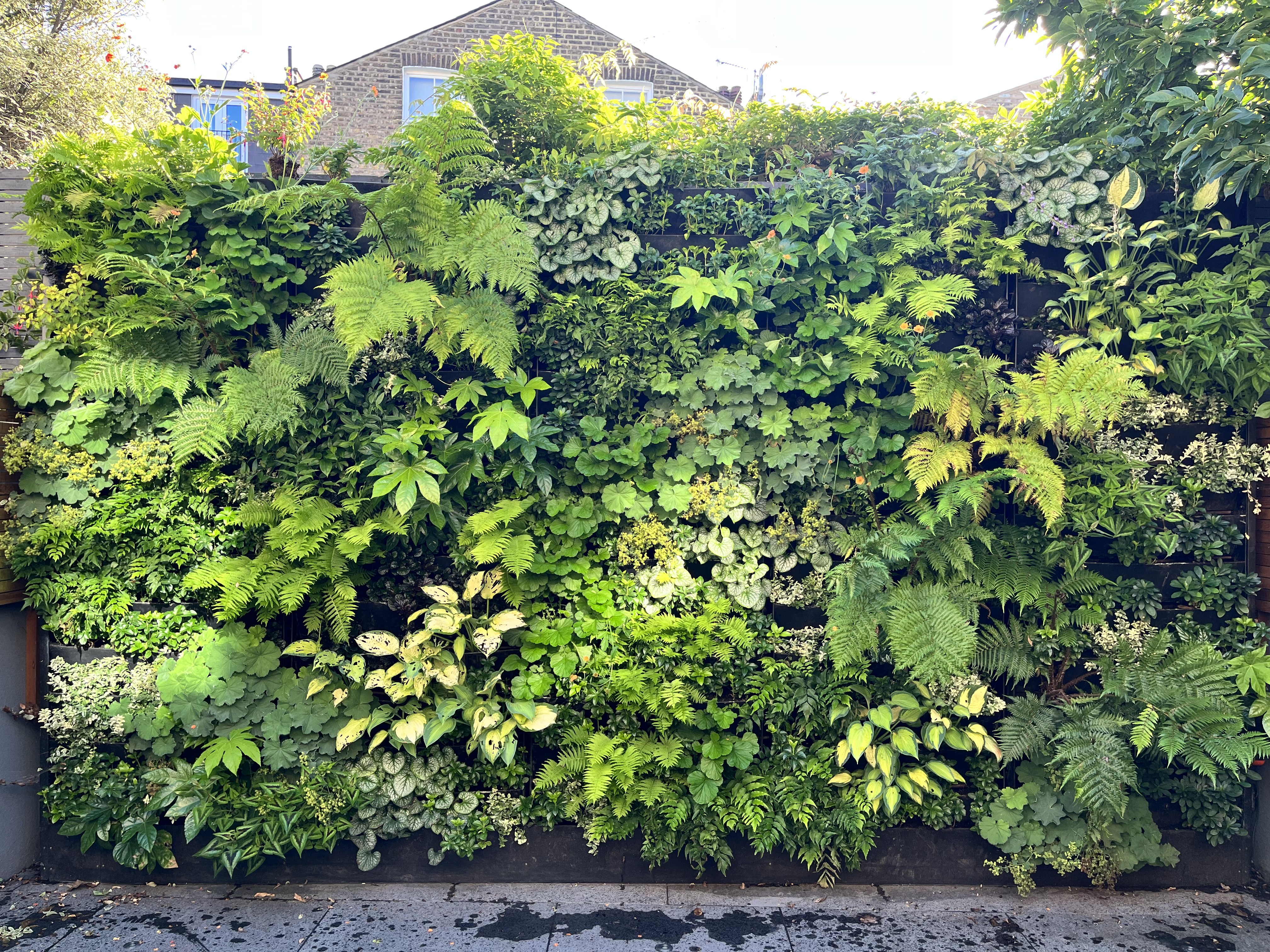 Garden portfolio 2