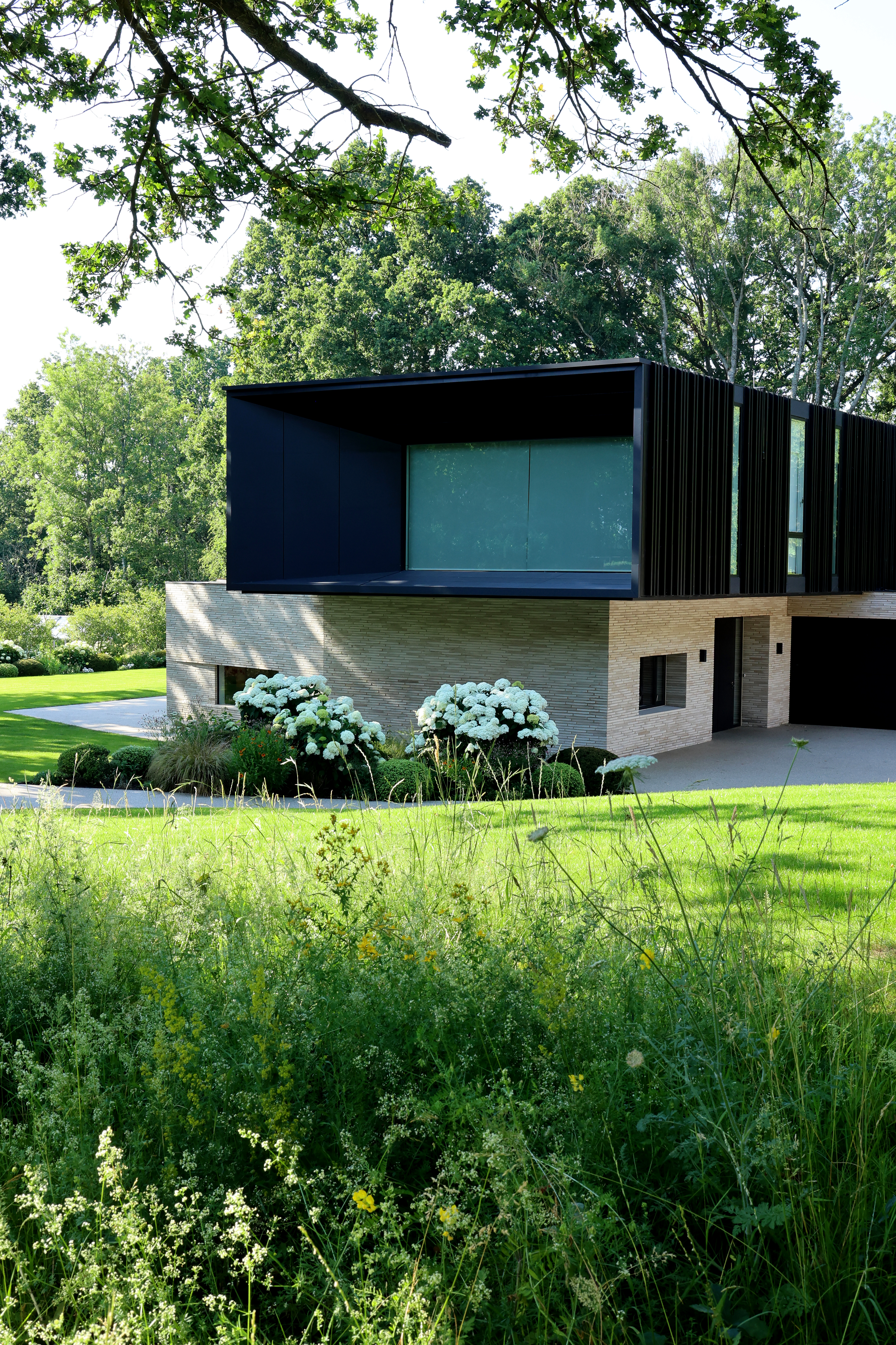 Garden portfolio 7