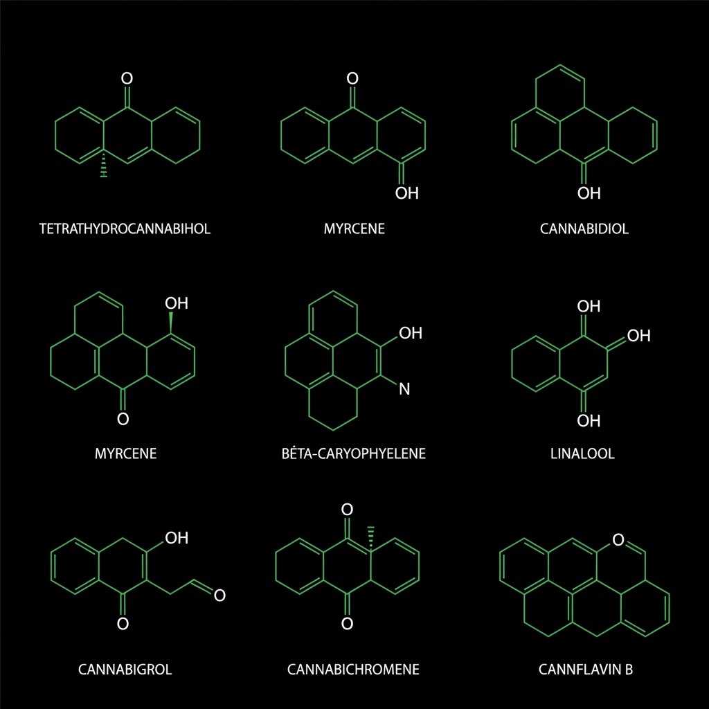 Molecular diagram