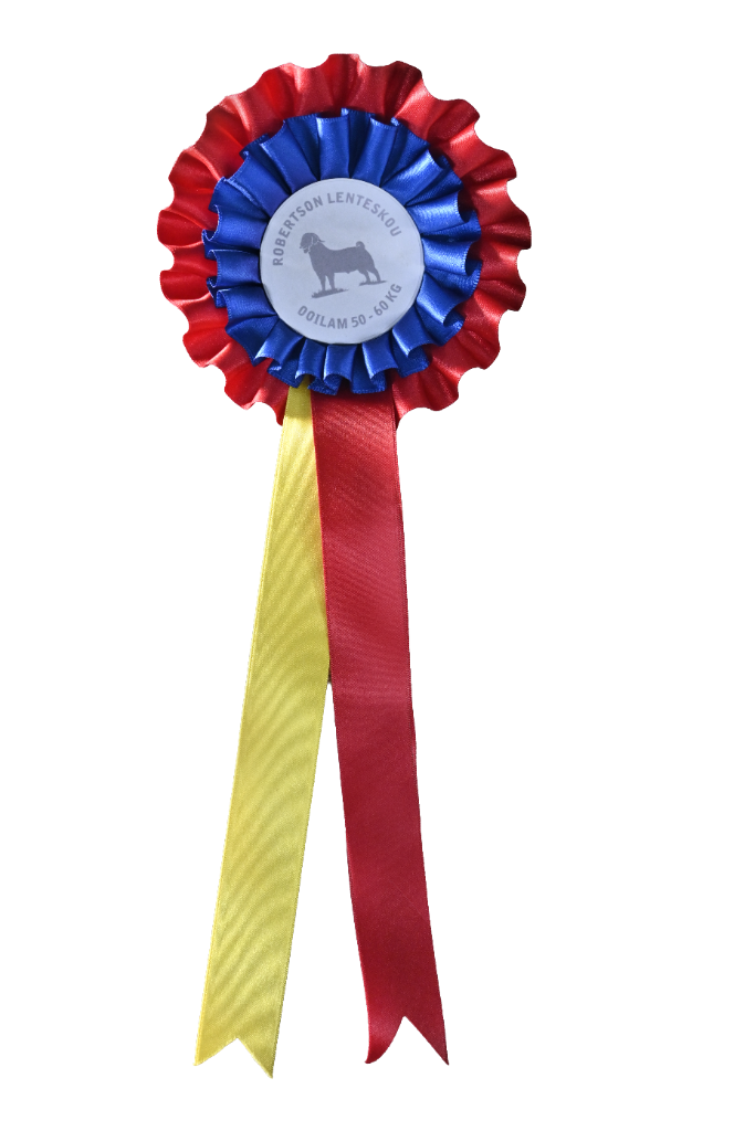 Junior Reserve Champion Ewe