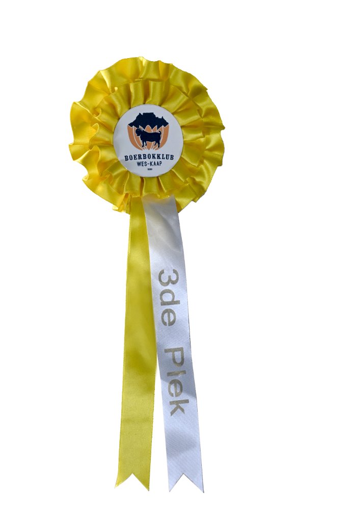 3rd Place