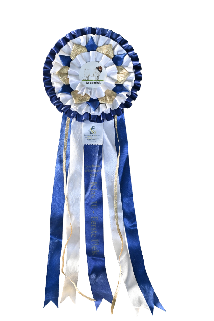 Class 4 — 3rd Place