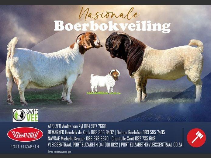 Nasionale Boerbokveiling