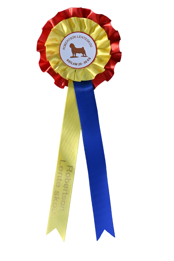 Ewe Lamb 20–30 kg