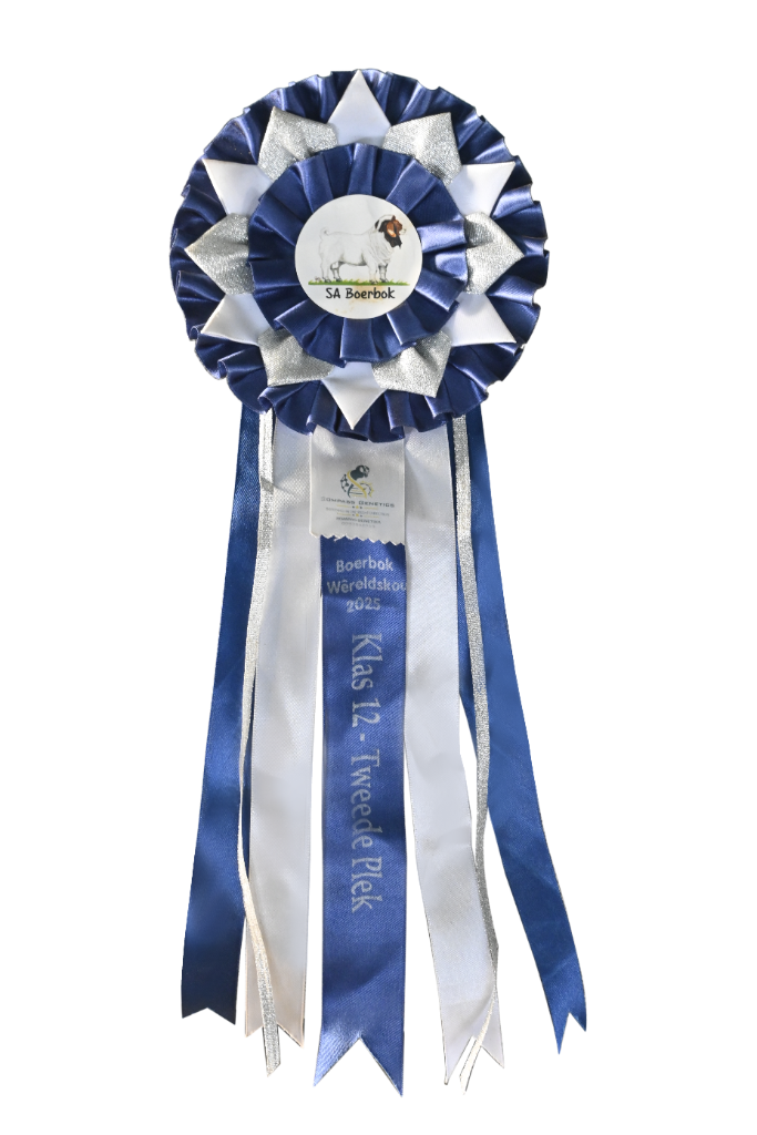 Class 10 — First Place