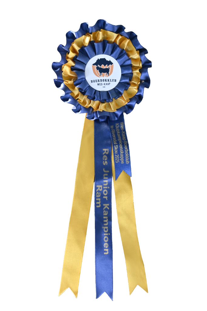 Class 12 — Second Place