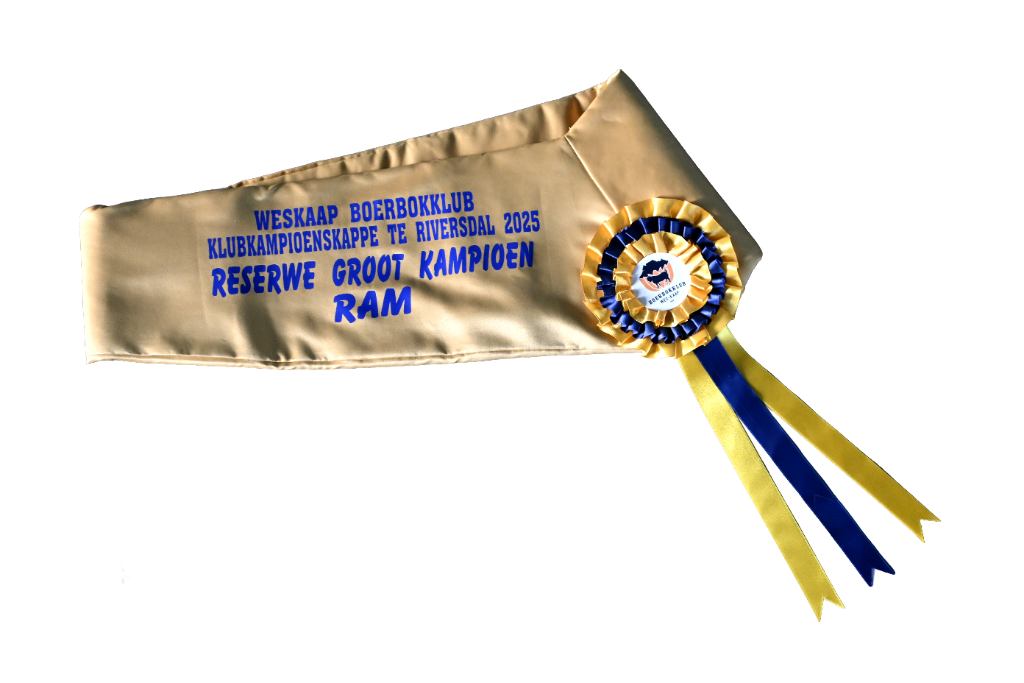 Reserve Grand Champion Ram