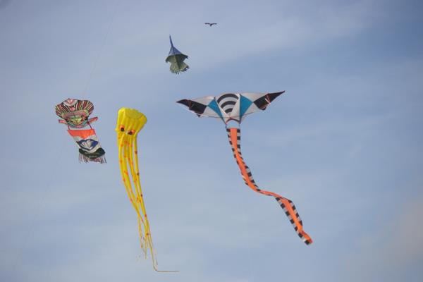 Colourful kites flying at the national kite festival, Sri Lanka